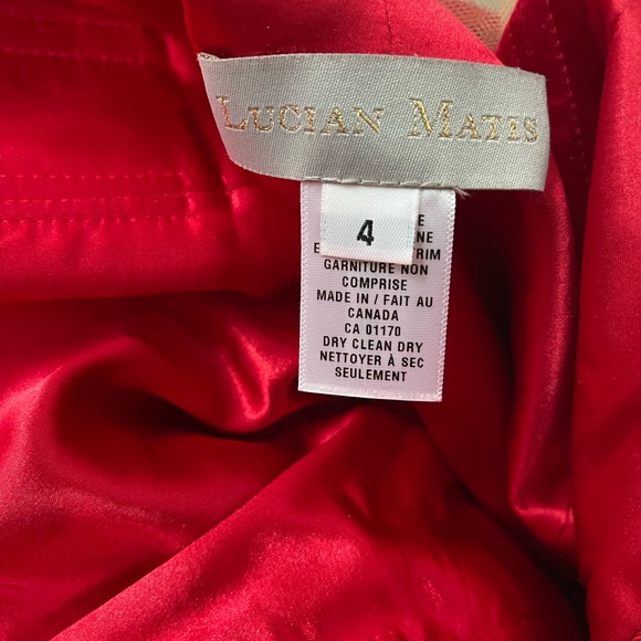 Lucian Matis Dress - Picture 15 of 17